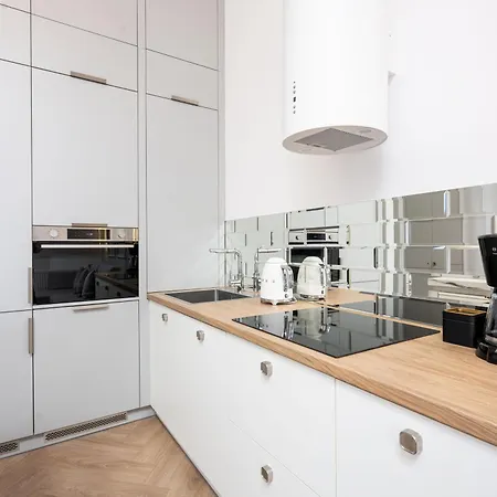 Native Starowislna 43/16 Krakov