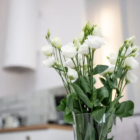 Native Starowislna 43/16 * Cracóvia